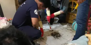小鴨把拔版稅捐助社福公益　賴瑞隆助弱勢家戶迎向亮晶晶