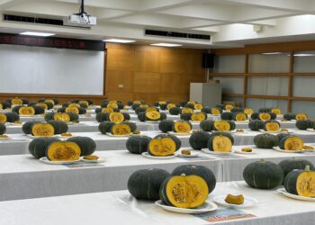 115年新北市全國大南瓜比賽「食用南瓜評鑑」精彩回顧！尋找全台最好吃的南瓜