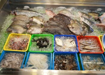 嘉義縣2500張美食優惠券6/5線上開抽 暢享海鮮盛宴