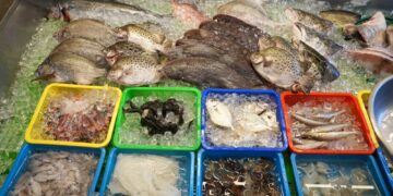 嘉義縣2500張美食優惠券6/5線上開抽　暢享海鮮盛宴