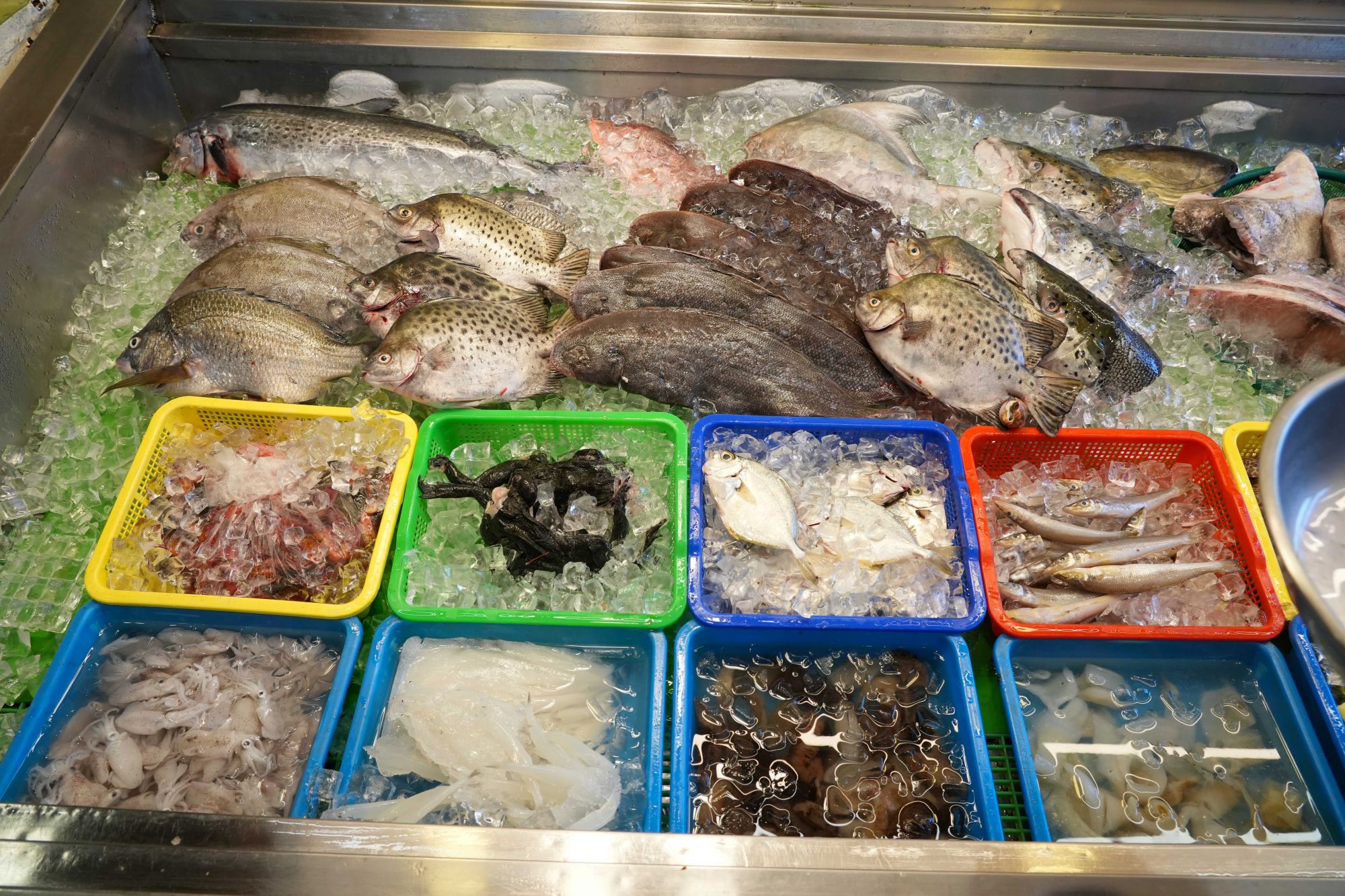 嘉義縣2500張美食優惠券6/5線上開抽 暢享海鮮盛宴