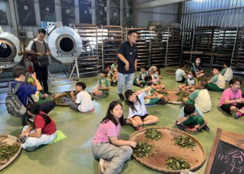 從山茶看見生態永續！　茂林環境教育中心全新課程 邀學子化身茶職人