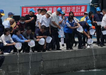 守護藍色海洋願景 雲林推動魚苗放流與科技減塑開創永續新篇章