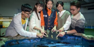 你看過鯊魚蛋嗎?屏東海生館公開罕見卵鞘 一窺生命誕生起點