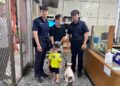 端午連假造訪雲霧家鄉　里港警加強交通疏導暨里港警訊