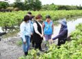 彰化連日豪雨重創農作  王惠美現勘溪州芭樂疾呼中央：納入天災現金救助