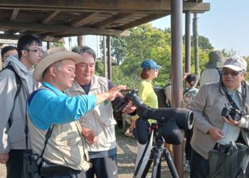 推廣八卦山賞鷹生態永續觀光 參山處榮獲國家環境教育獎
