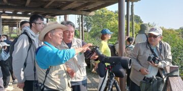 推廣八卦山賞鷹生態永續觀光 參山處榮獲國家環境教育獎