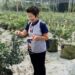 從牧羊到種植藍莓　後龍藍莓體驗小旅行結合生態與人文的輕旅行體驗　