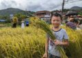 讓世界乾一杯台灣米香!金山地酒勇奪4金 農業局:展現農產加工加值的硬實力