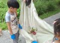 城市綠洲的甜蜜奇蹟：百棵50年黑葉荔枝不施農藥  北屯老樹公園香氣引爆食農教育