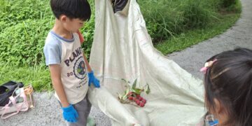 城市綠洲的甜蜜奇蹟:百棵50年黑葉荔枝不施農藥 北屯老樹公園香氣引爆食農教育
