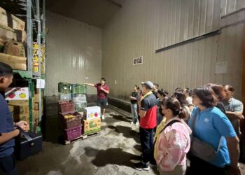 雲林縣推動智農補助見成效 義庄合作農場示範數位管理成果
