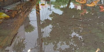 李雨庭議員不畏風雨涉水關心通學安全,中芸國小周邊步道改善持續推動