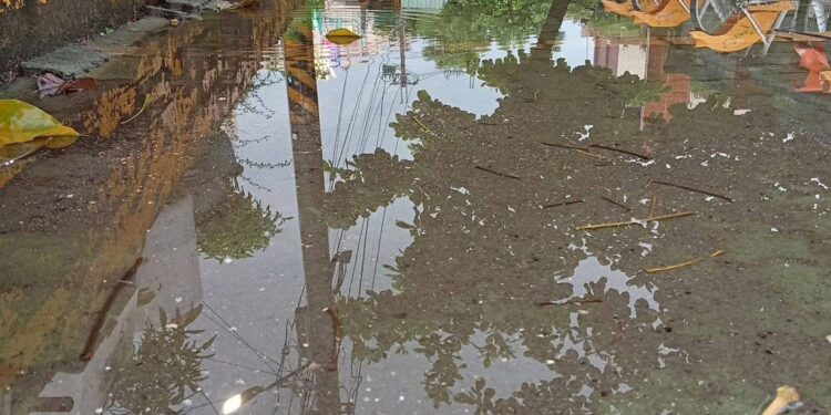 李雨庭議員不畏風雨涉水關心通學安全，中芸國小周邊步道改善持續推動