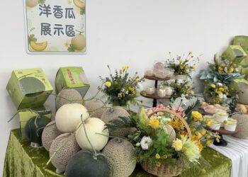 彰縣第三屆網紋洋香瓜果品評鑑    精緻網紋 拍照、口感、食安皆震撼感官