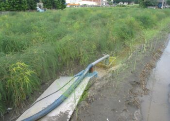 受西南氣流影響 臺中農改場籲農友做好防雨與排水措施