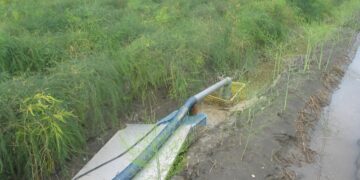 受西南氣流影響 臺中農改場籲農友做好防雨與排水措施