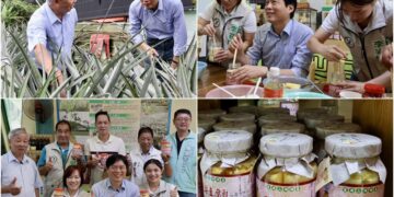 林國漳體驗鳳梨豆腐乳製作　看見在地農業的無限可能