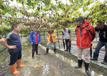 6月豪雨連連造成屏東農損　爭取農業部天然災害救助全品項免勘