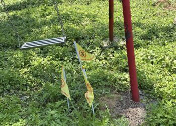 竹東紅火蟻出沒 里長及公所團隊通力合作防治