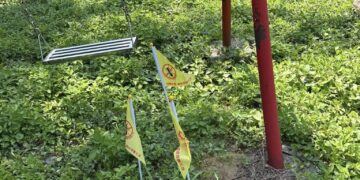 竹東紅火蟻出沒  里長及公所團隊通力合作防治