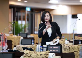 林燕祝議員抨擊南市府把先人遺骸當垃圾等殯葬亂象 要求還給神明與先人尊嚴