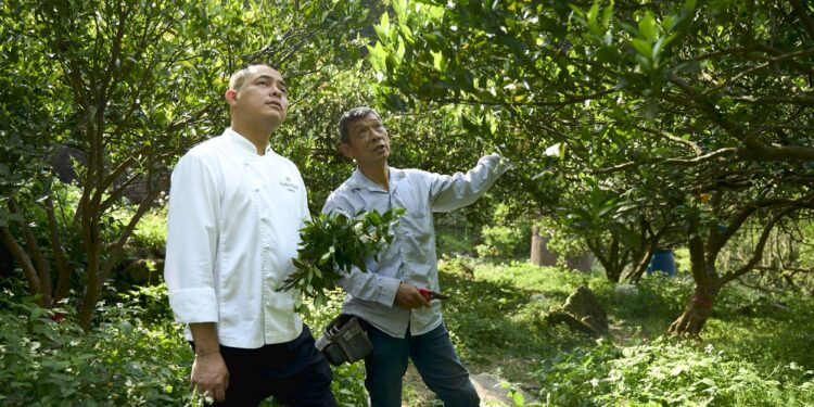 北投老爺攜手陽明春天 推出「草山饌．綠星之宴」 串聯T22計畫 用45種土地風味打造10道永續蔬食料理