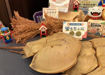 金門親子體驗遊程 搶攻暑假遊客市場!