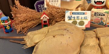 金門親子體驗遊程 搶攻暑假遊客市場！