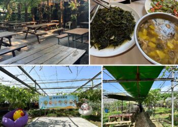 夏日消暑推薦！桃園珍珠海岸清涼農遊   體驗大王蓮水上漂、鮮採瓜果及產地風土餐桌