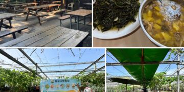 夏日消暑推薦！桃園珍珠海岸清涼農遊   體驗大王蓮水上漂、鮮採瓜果及產地風土餐桌