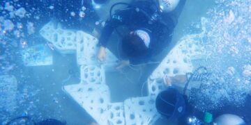 海洋委員會科研成果躍登歐洲! 成大團隊赴比發表「澎湖海洋循環經濟」模式