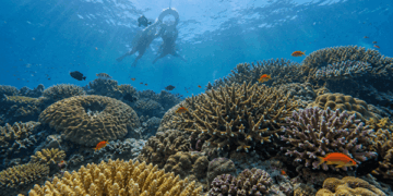 海生館舉辦「海洋中的”奧秘” 第十一屆國際海洋生物及生物科技研討會」