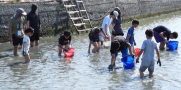 雲林宜梧國中奪全國科展鄉土教材獎 展現濕地保育軟實力