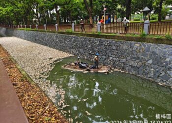 後勁溪驚現魚屍漂流疑雲起,【明察、慎勘、究詰】污染源不封案