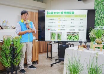 中區農改場成功育成韭菜新品種  ‘台中1號’提升國產韭菜品質及農民收益