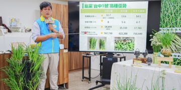 中區農改場成功育成韭菜新品種 ‘台中1號’提升國產韭菜品質及農民收益
