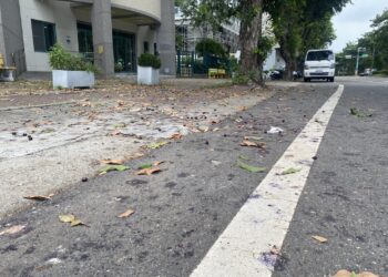 南市健康路3段肯氏葡萄落果造成路上打滑　李啟維呼籲政府應加強清理