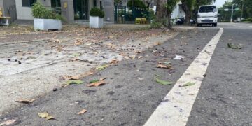 南市健康路3段肯氏葡萄落果造成路上打滑 李啟維呼籲政府應加強清理