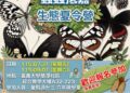 嘉義市暑假推「蟲蟲抵嘉」昆蟲生態營 親近自然探索昆蟲奧秘