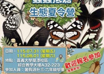 嘉義市暑假推「蟲蟲抵嘉」昆蟲生態營 親近自然探索昆蟲奧秘