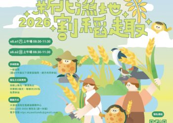 新北濕地割稻趣活動八月登場 開放五百名額體驗都市農耕樂趣
