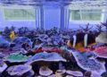 海科館首度攜手Xpark展開養殖技術成果交流　人工繁殖取代野外採集，共創海洋保育新模式！