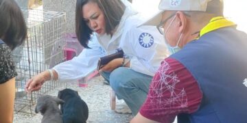 安南區一處外勞宿舍民宅後院疑似養狗宰殺  5隻幼犬後腿全斷拖行防逃跑
