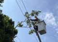 中颱巴威逼近 台電彰化加強礙掃提升供電可靠度