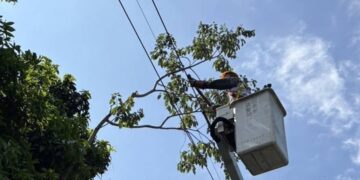 中颱巴威逼近 台電彰化加強礙掃提升供電可靠度