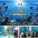 全台首創人魚劇場結合水下考古!文資局攜手海科館《深海傳說》暑假登場 探索沉睡海底的文化寶藏