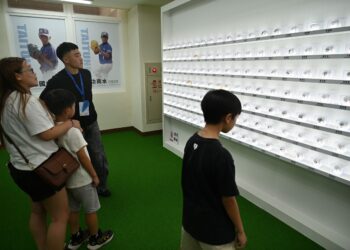 狂吸17.5萬人朝聖!台東博覽會推「週末玩樂懶人包」 馬戲踩街、夜間光雕從早嗨到晚