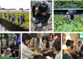 泰拉學校與佛光大學臺日青年合作「地之校」 走入農村思考永續食農議題